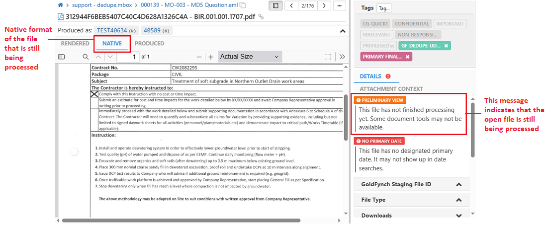 View native form of processing file