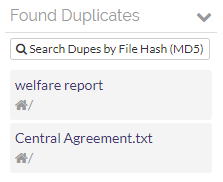 Duplicate of the file are highlighted