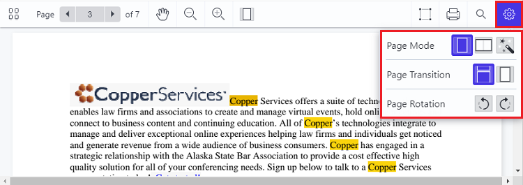 New Document Viewer page layout options